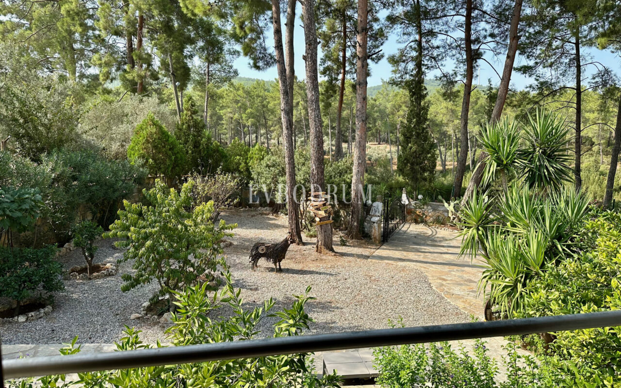 7.970 m2 arazi içinde harika, havuzlu taş ev ve misafirhanesi