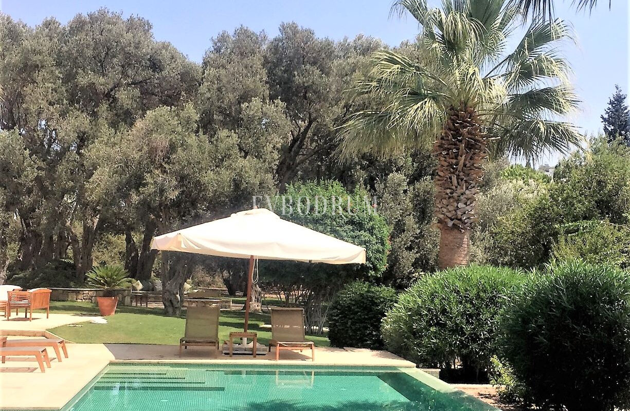 Denize 50 Metrelik Mesafede Kiralık Lüks Villa