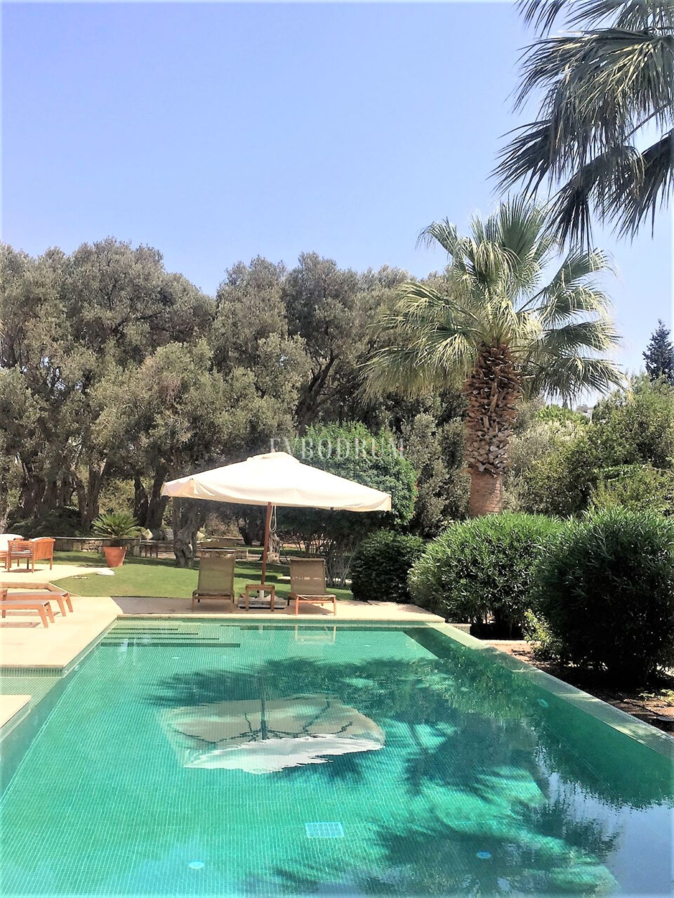 Denize 50 Metrelik Mesafede Kiralık Lüks Villa – Görsel 2