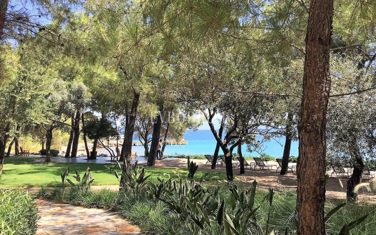 Yeni Proje: Denize Sıfır, Geniş, Havuzlu villa