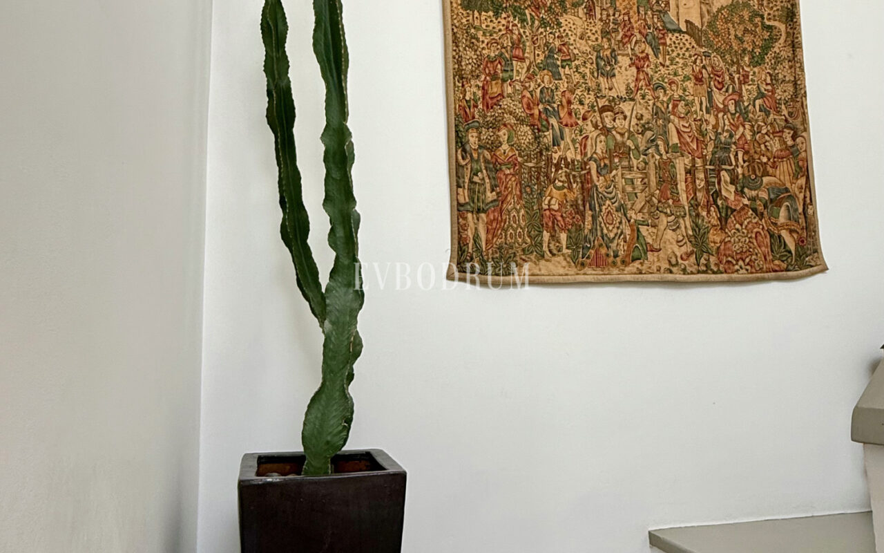 Plaja yürüme mesafesinde, havuzlu ve bahçeli geniş villa