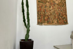 Plaja yürüme mesafesinde, havuzlu ve bahçeli geniş villa