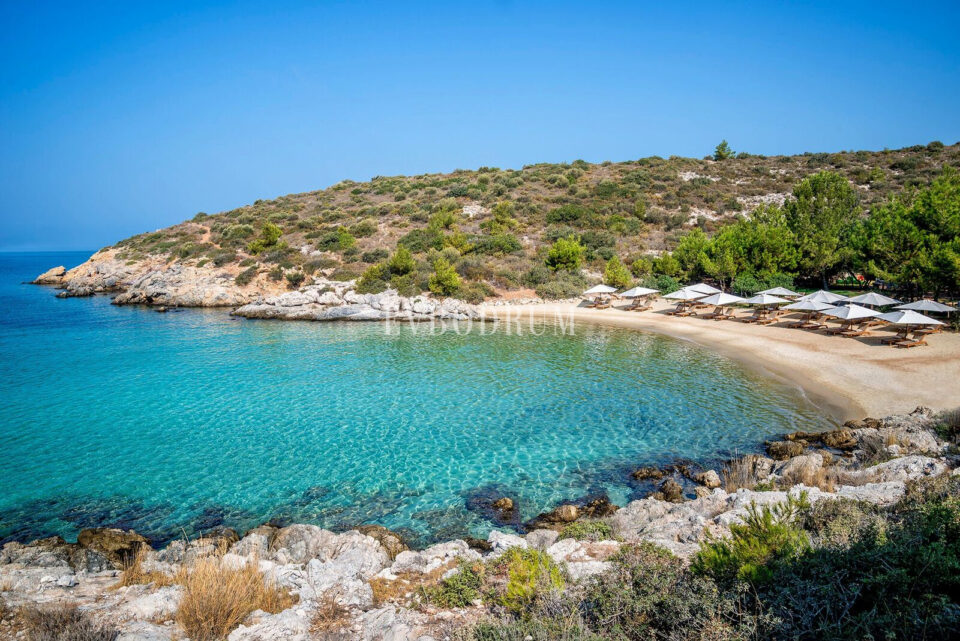 Özel Havuzlu ve Bahçeli Denize Sıfır Villa – Hotel Beach Jpeg