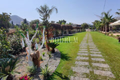 Plaja Yakın Ortak Havuzlu Tek Katlı Evler