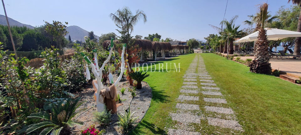 Plaja Yakın Ortak Havuzlu Tek Katlı Evler – Görsel 1