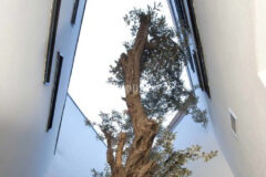 Özel Havuzlu, Denize Erişimli, 10 Kişilik Lüks Villalar