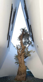 Özel Havuzlu, Denize Erişimli, 10 Kişilik Lüks Villalar – Görsel 10