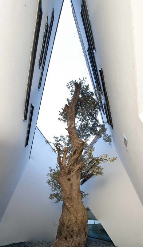 Özel Havuzlu ve Denize Erişimi Olan Lüks Villalar