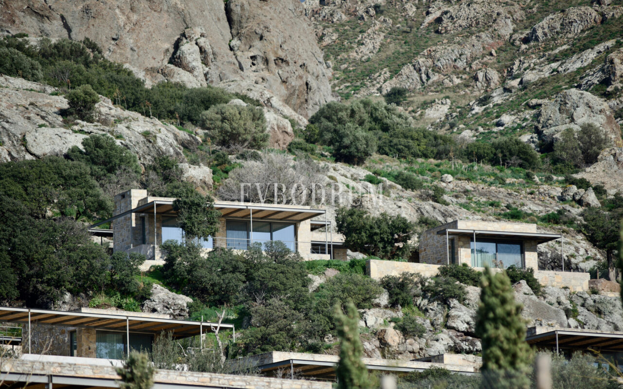 Ödüllü mimarisiyle, tasarım taş villa