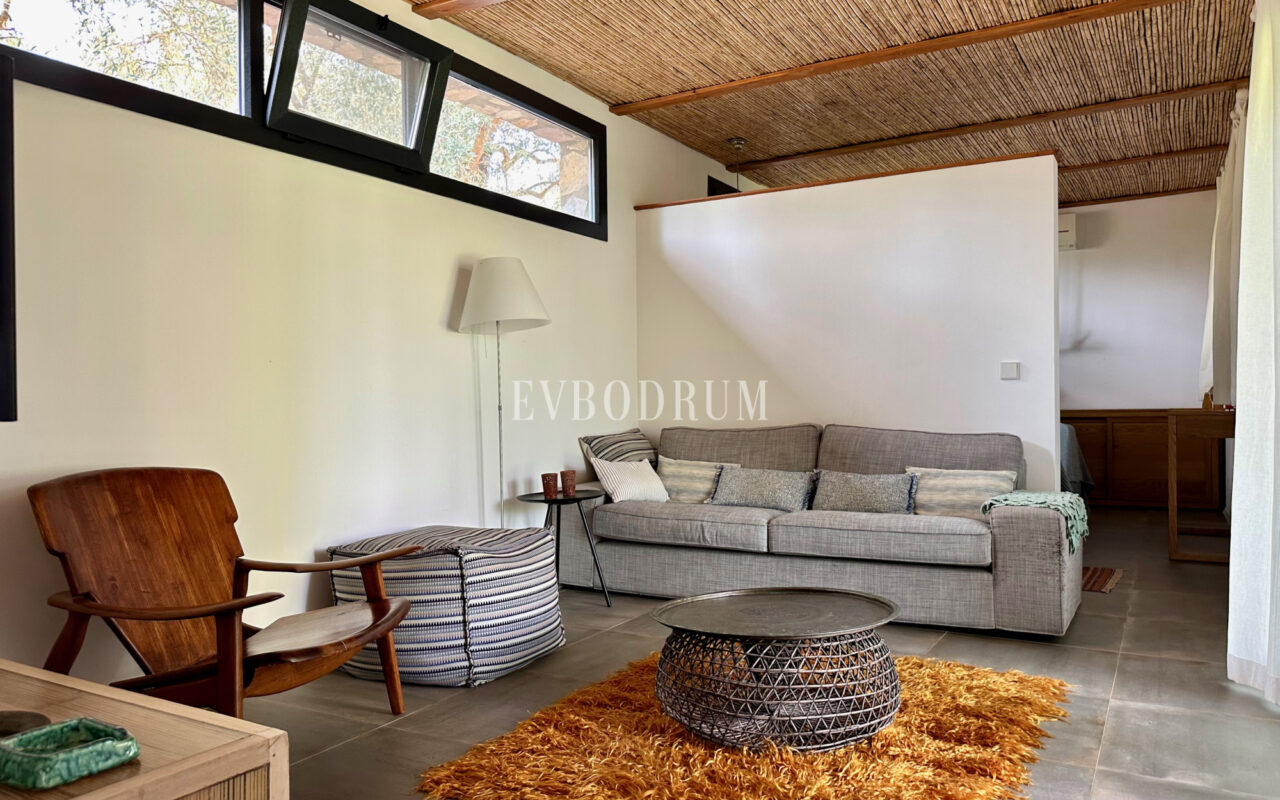 7.970 m2 arazi içinde harika, havuzlu taş ev ve misafirhanesi