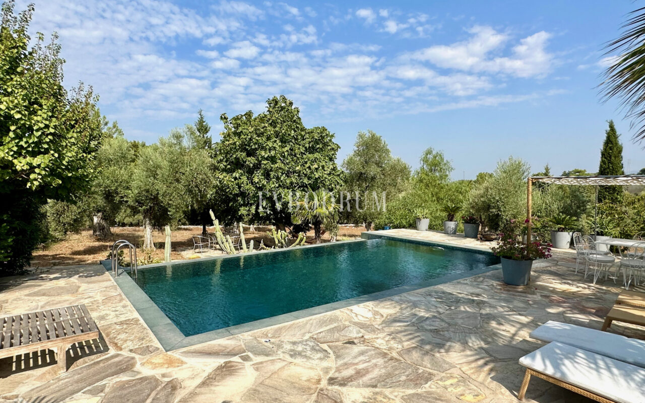 7.970 m2 arazi içinde harika, havuzlu taş ev ve misafirhanesi