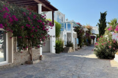 Yıllık kiralık, Kale ve adalar manzaralı Bodrum Evi