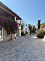 Longterm rental: Autentic Bodrum villa with sea view; Monthly ren – Photo 1