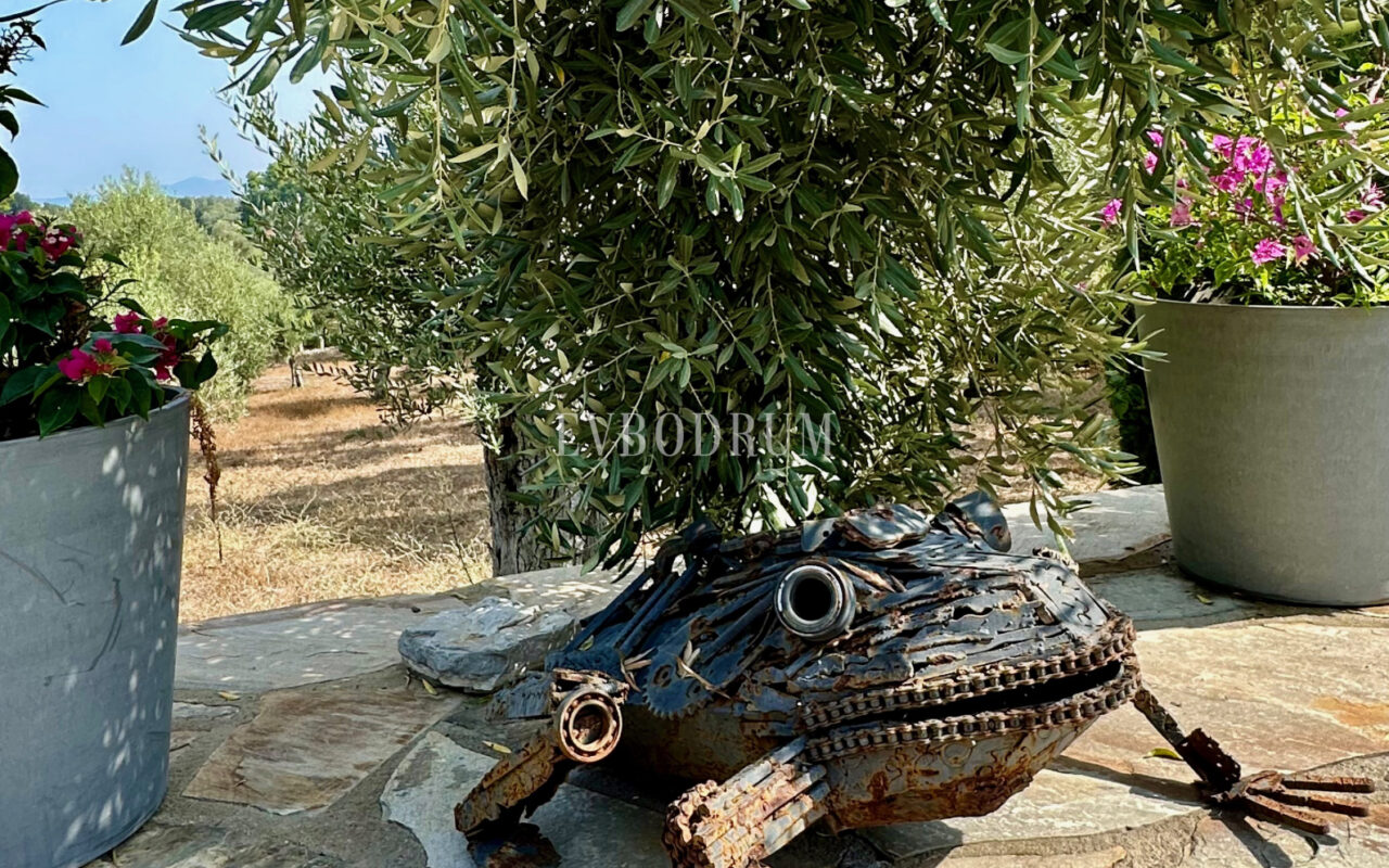 7.970 m2 arazi içinde harika, havuzlu taş ev ve misafirhanesi