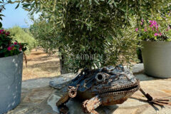 7.970 m2 arazi içinde harika, havuzlu taş ev ve misafirhanesi