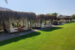 Plaja Yakın Ortak Havuzlu Tek Katlı Evler