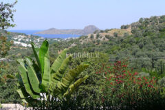 Özel havuzlu kiralık taş villa