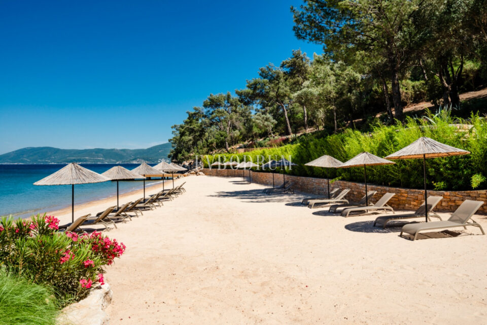 Yeni Proje: Denize Sıfır, Geniş, Havuzlu villa – Photo