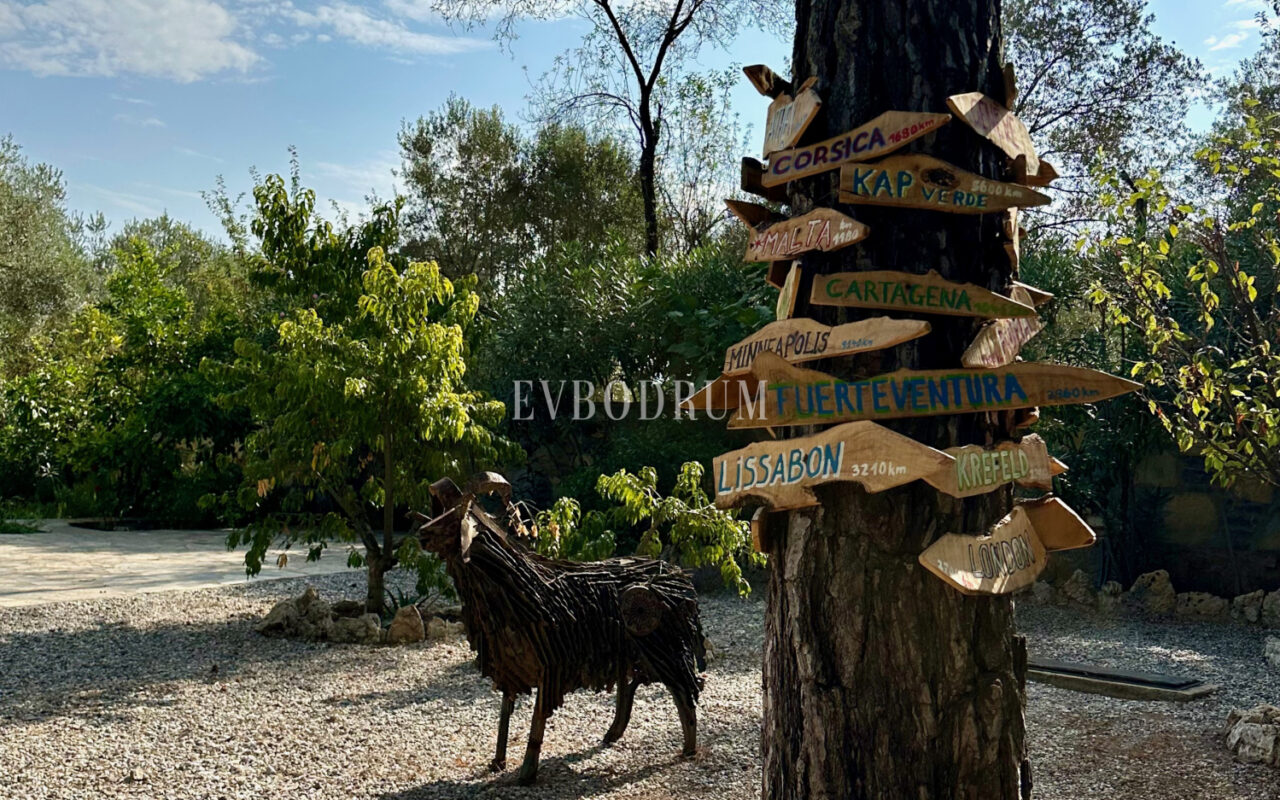 7.970 m2 arazi içinde harika, havuzlu taş ev ve misafirhanesi