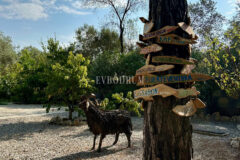 7.970 m2 arazi içinde harika, havuzlu taş ev ve misafirhanesi