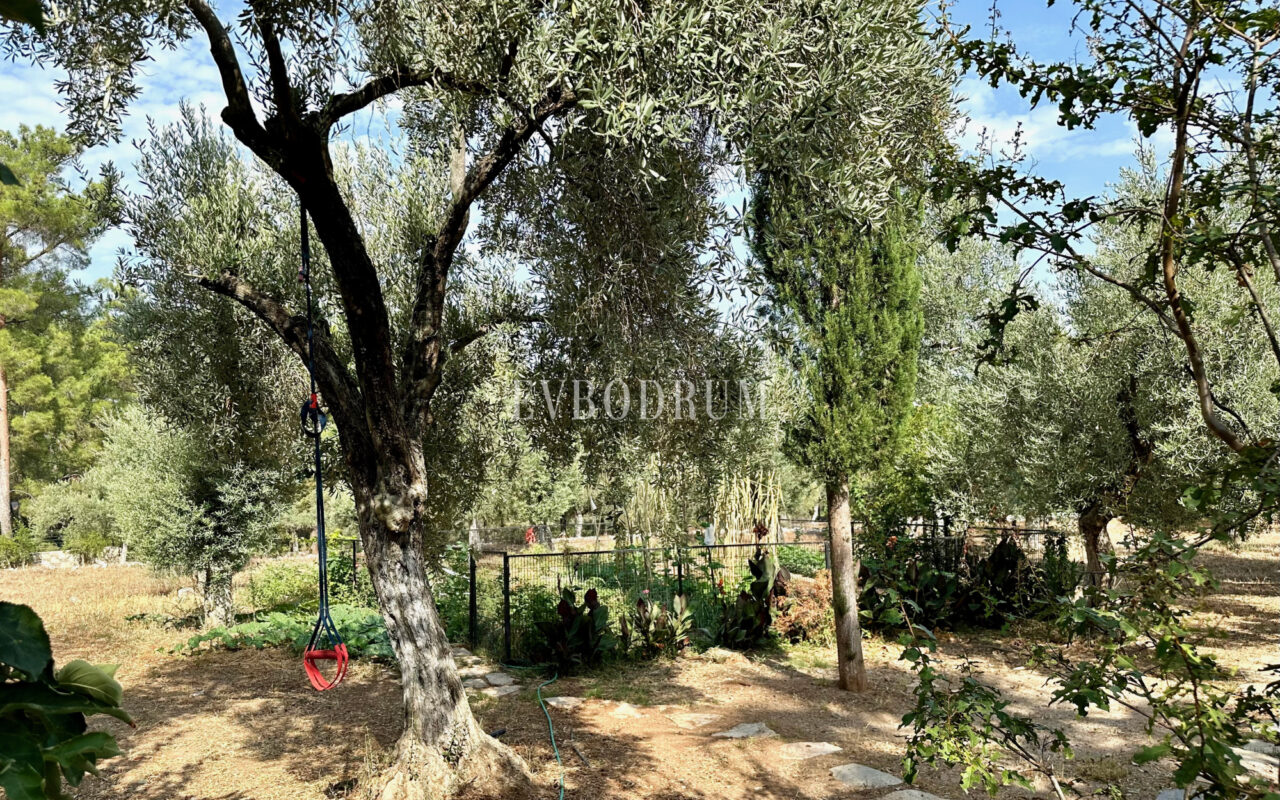 7.970 m2 arazi içinde harika, havuzlu taş ev ve misafirhanesi