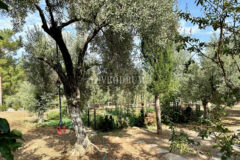 7.970 m2 arazi içinde harika, havuzlu taş ev ve misafirhanesi