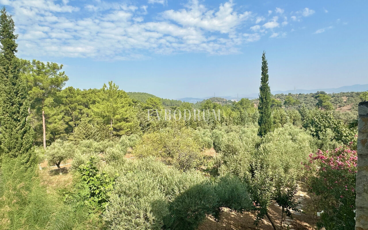 7.970 m2 arazi içinde harika, havuzlu taş ev ve misafirhanesi