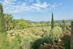 7.970 m2 arazi içinde harika, havuzlu taş ev ve misafirhanesi