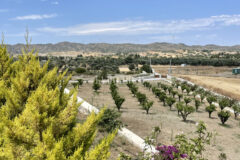 Datça’da Havuzlu Tatil Villası, Aylık Kiralık