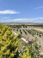 Datça’da Havuzlu Tatil Villası, Aylık Kiralık – Görsel 7