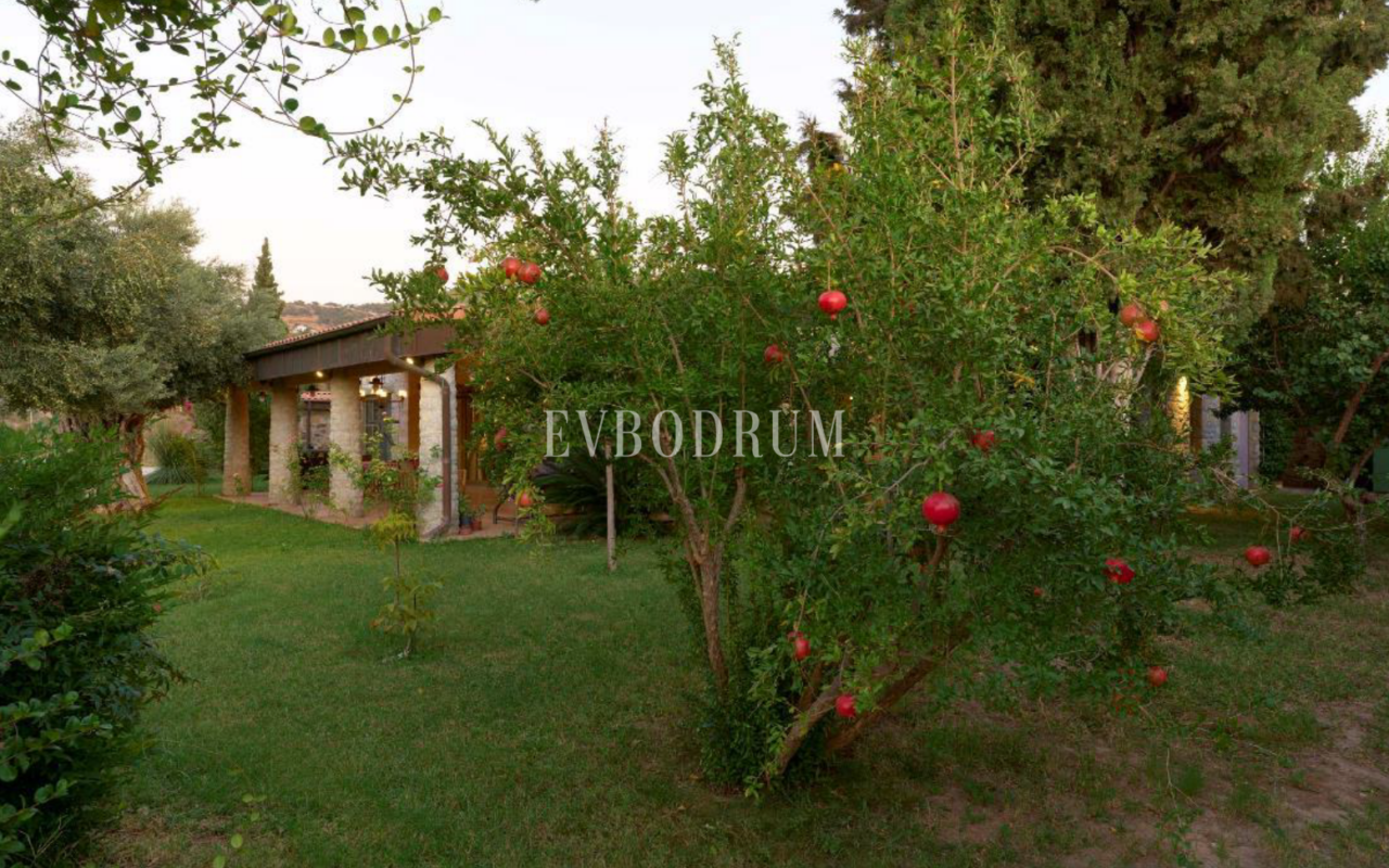 Yalıkavak’ın en güzel vadisinde çok geniş özel mülk