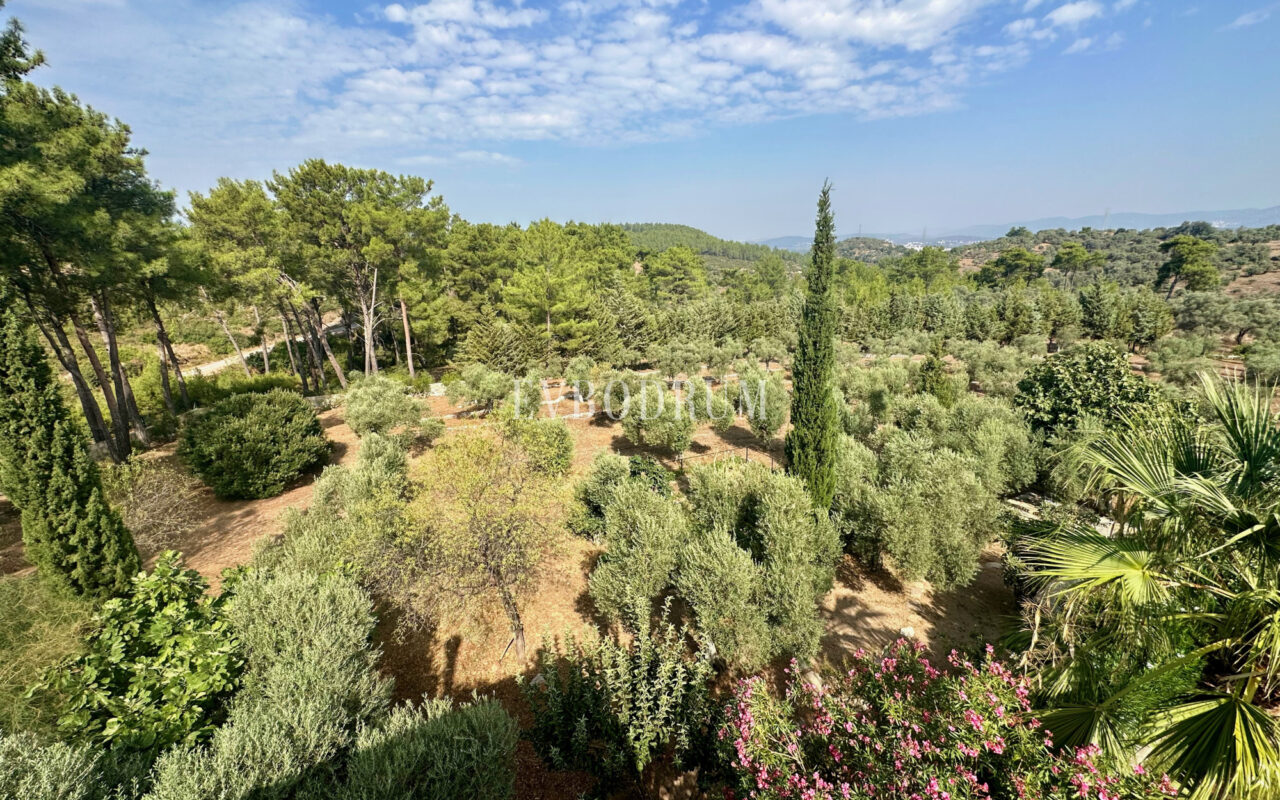 7.970 m2 arazi içinde harika, havuzlu taş ev ve misafirhanesi