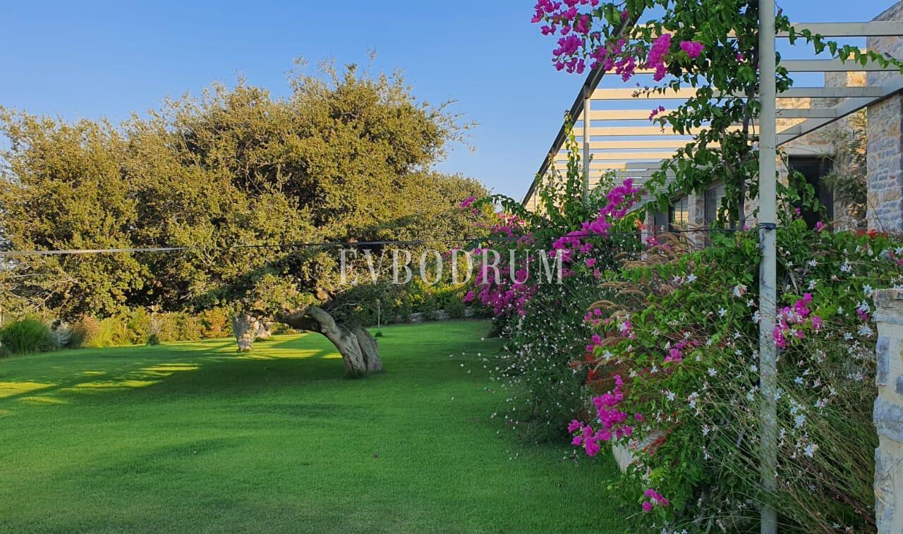 Ödüllü mimarisiyle, tasarım taş villa