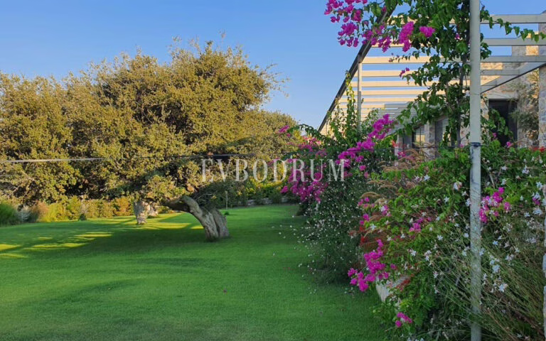 Ödüllü mimarisiyle, tasarım taş villa – 3A