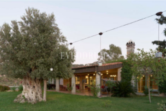 Yalıkavak’ın en güzel vadisinde çok geniş özel mülk