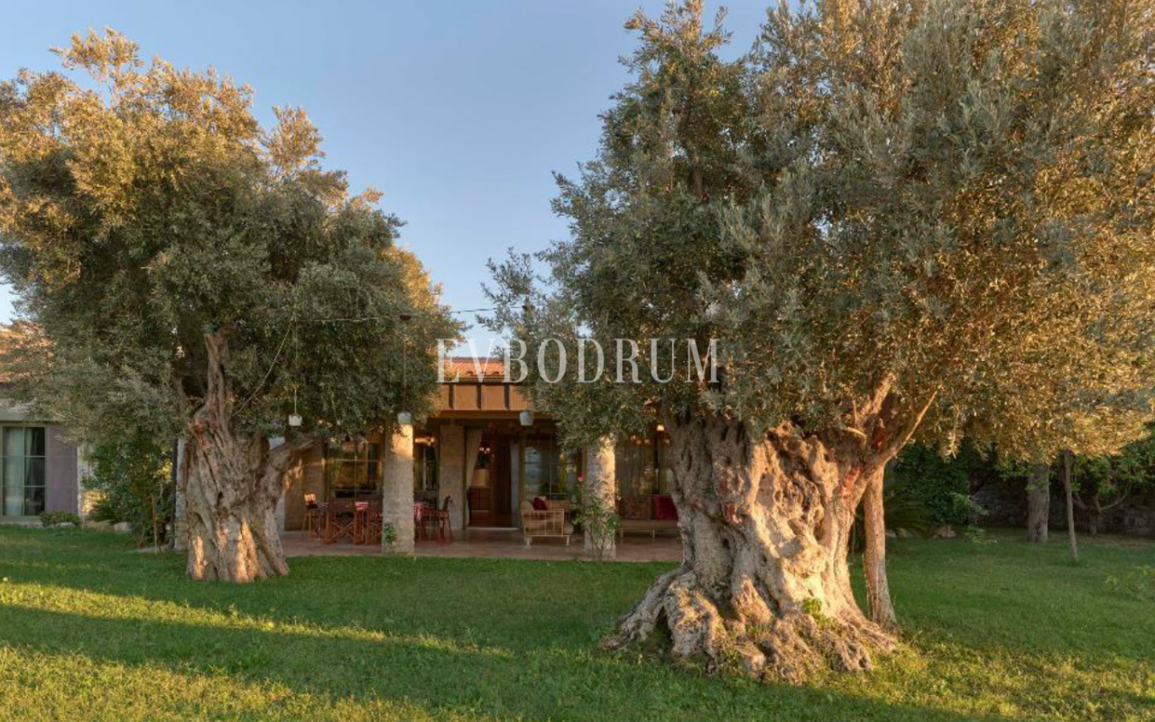 Yalıkavak’ın en güzel vadisinde çok geniş özel mülk