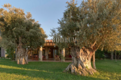 Yalıkavak’ın en güzel vadisinde çok geniş özel mülk