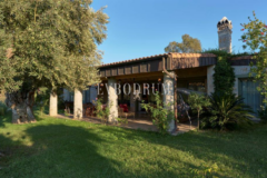 Yalıkavak’ın en güzel vadisinde çok geniş özel mülk