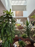 Grosse Villa mit Pool und Garten im Herzen von Türkbükü – Foto 1