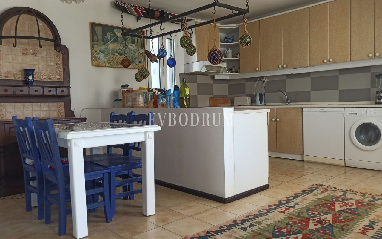 Merkezi lokasyonda, deniz manzaralı ikiz şehir evi