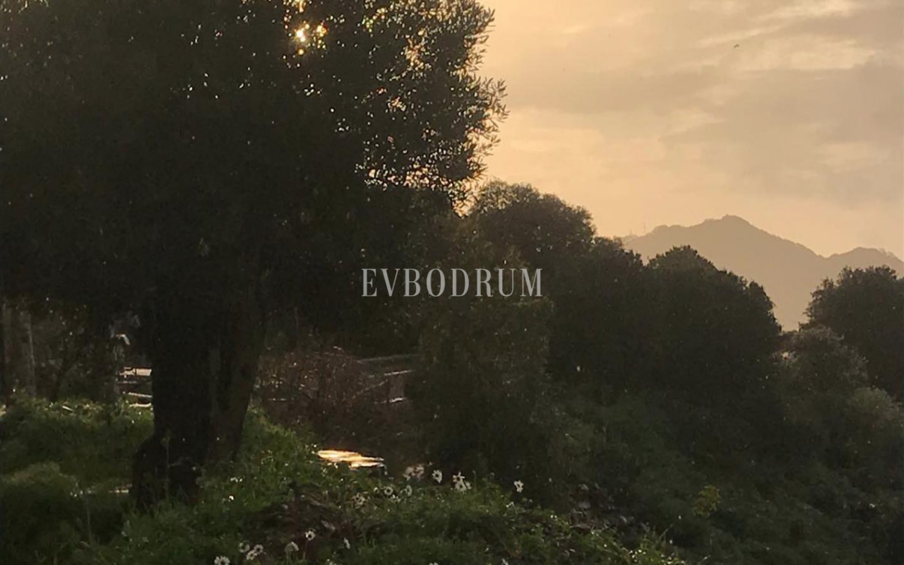 10.000 m2 Arsa İçinde 8 Bağımsız Taş Ev