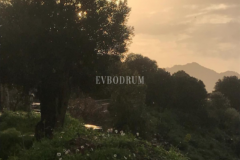 10.000 m2 Arsa İçinde 8 Bağımsız Taş Ev