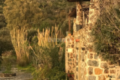 10.000 m2 Arsa İçinde 8 Bağımsız Taş Ev