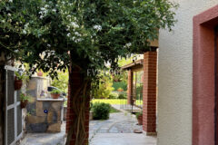 Çamlı Konakları, Gündoğan’da Doğa Manzaralı Geniş Ev