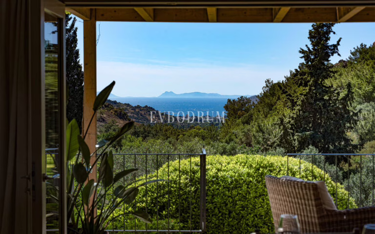 Misafir evi, havuz ve 5.025 m2 peyzajlı bahçesiyle eşsiz villa – Exceptional Villa And Guest House With Large Plot And Pool 68920385Eea47