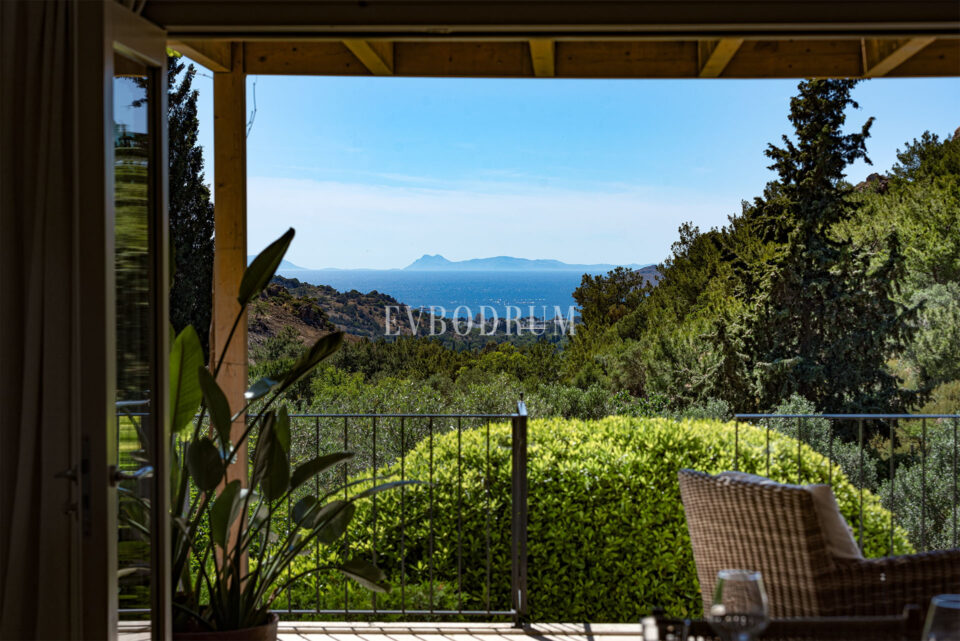 Misafir evi, havuz ve 5.025 m2 peyzajlı bahçesiyle eşsiz villa – Exceptional Villa And Guest House With Large Plot And Pool 68920385Eea47