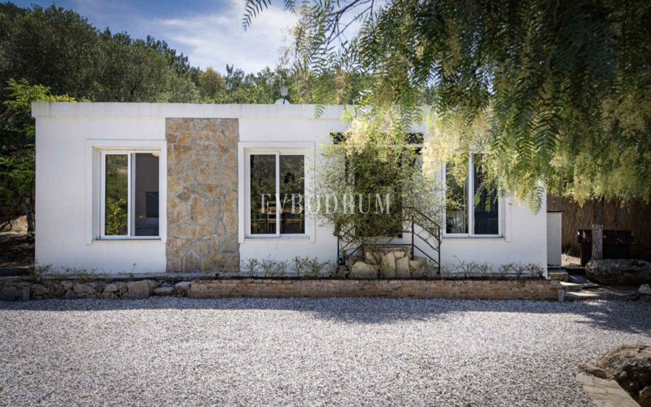 Misafir evi, havuz ve 5.025 m2 peyzajlı bahçesiyle eşsiz villa