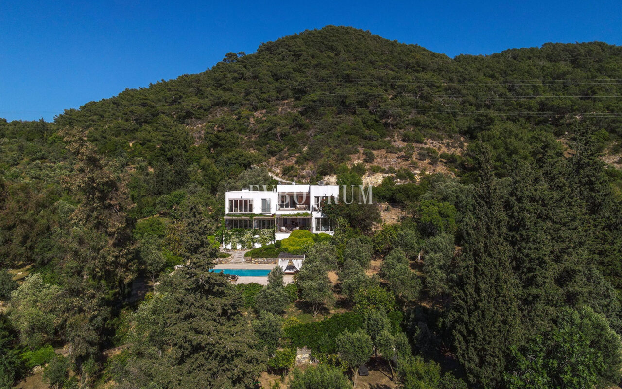 Misafir evi, havuz ve 5.025 m2 peyzajlı bahçesiyle eşsiz villa