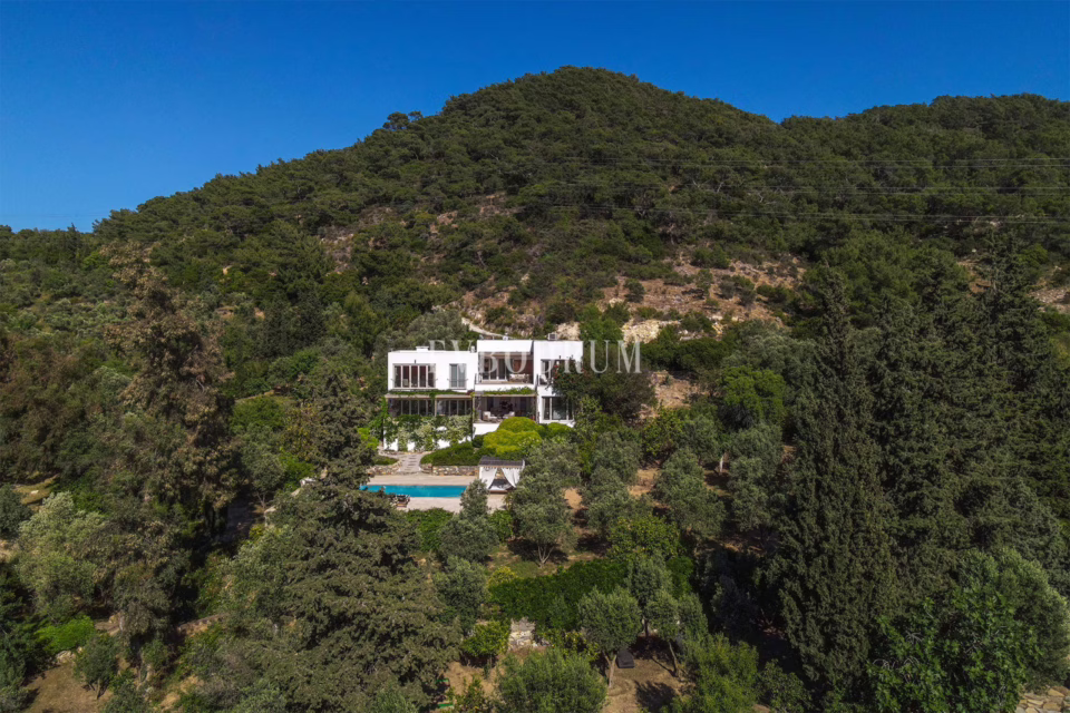 Aussergewöhnliche Villa und Gaestehaus mit grossem Land und Pool – Exceptional Villa And Guest House With Large Plot And Pool 689203C8Eedf8