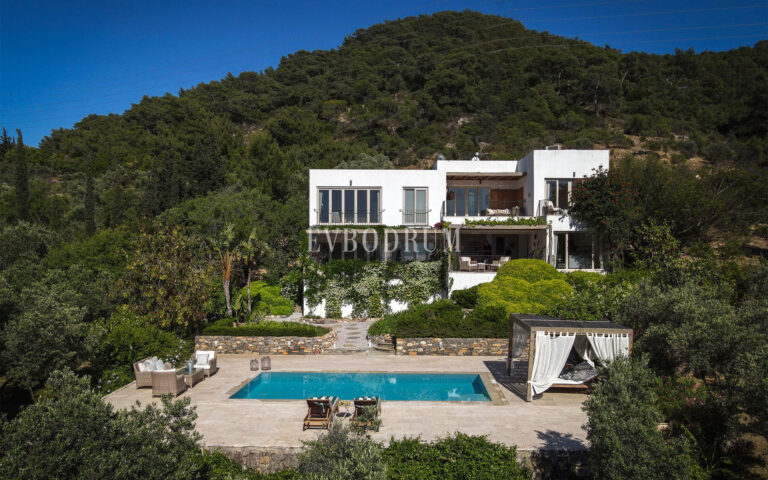 Misafir evi, havuz ve 5.025 m2 peyzajlı bahçesiyle eşsiz villa – Exceptional Villa And Guest House With Large Plot And Pool 689203Cb1Fcfd